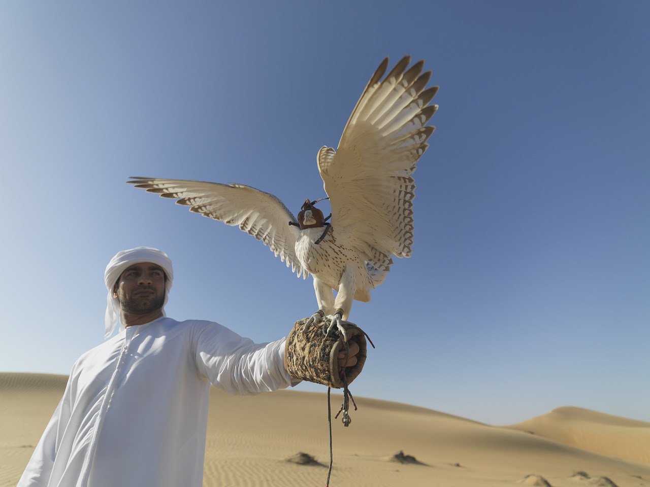 Assessing the Capabilities of the T-7A Red Hawk for Pilot Training
